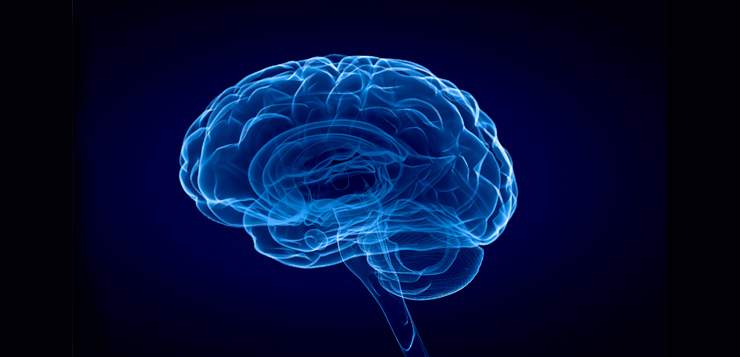 mindfulness for pain