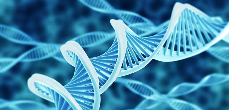 A stylized illustration of a DNA double helix structure.