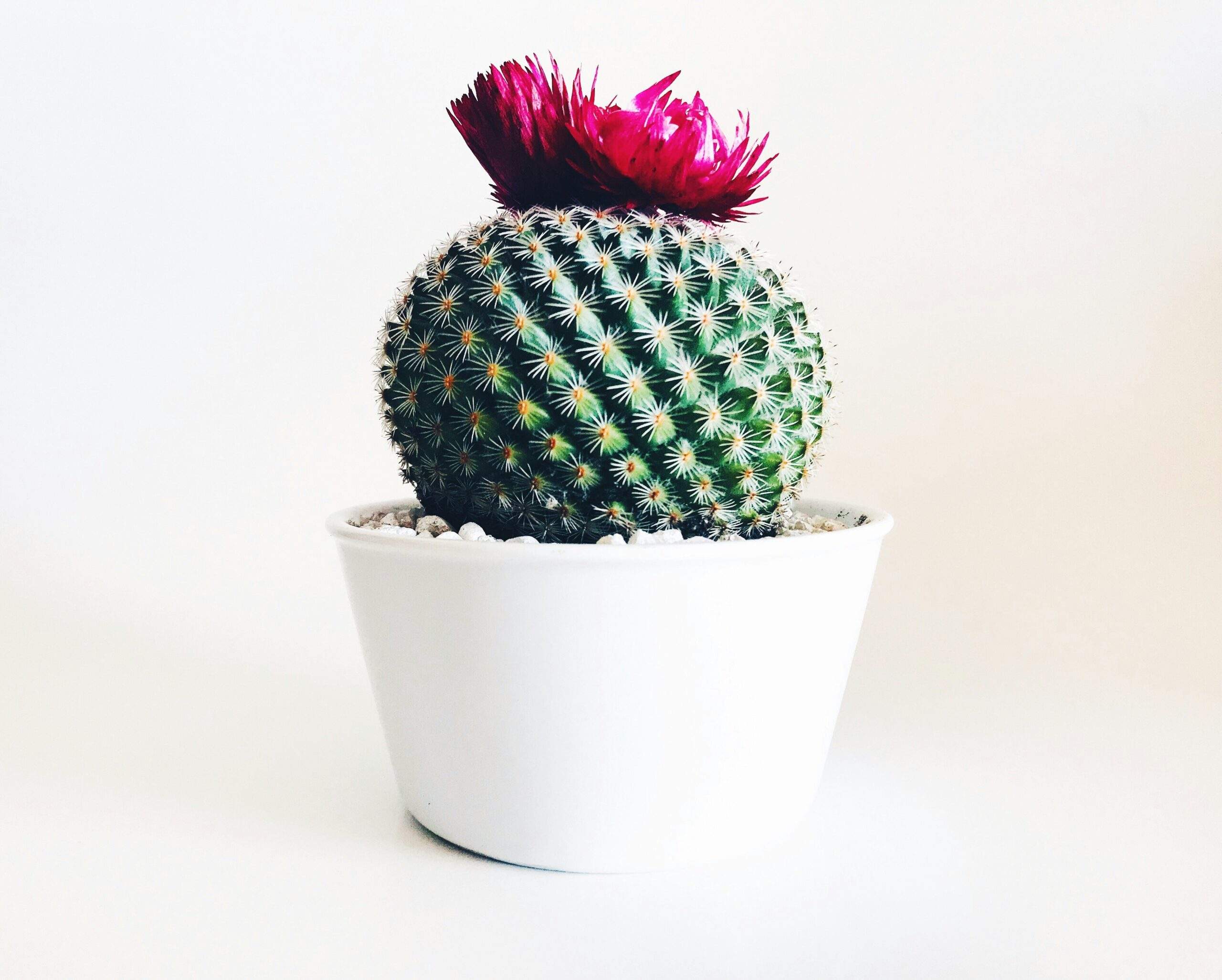 How to practice and build real self-trust