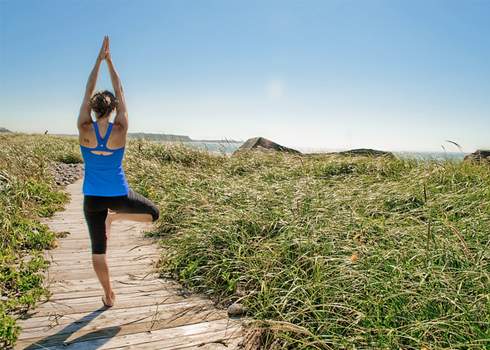 A person in athletic wear is practicing yoga in a tree pose on a wooden path surrounded by tall grass. The serene scene, perfect for exploring yoga poses for meditation, is set under a clear blue sky near what appears to be a coastal area.
