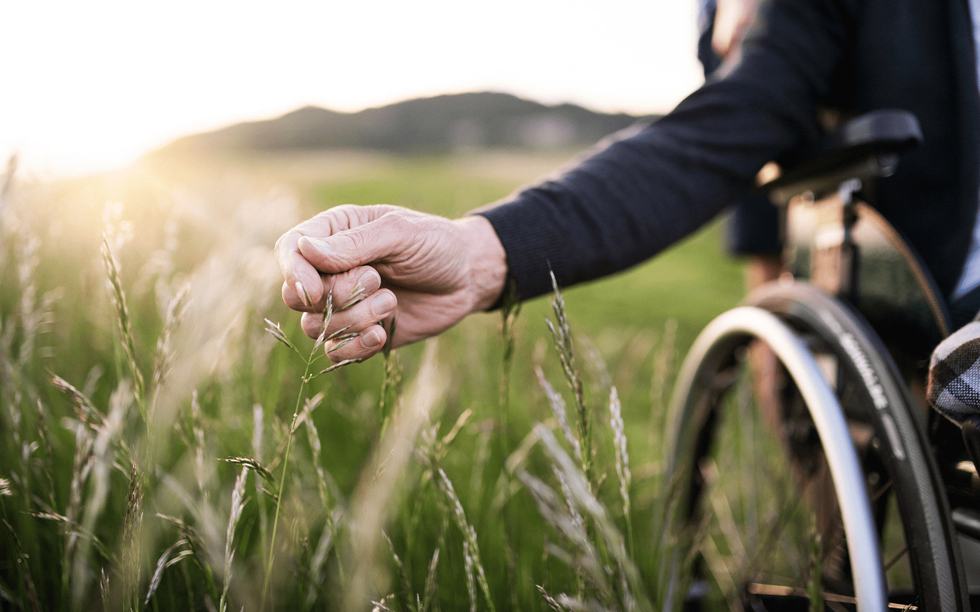 Awaken gratitude in nature - Photo of a man in a wheelchair reaching out to touch long grass in the field he's being pushed through.