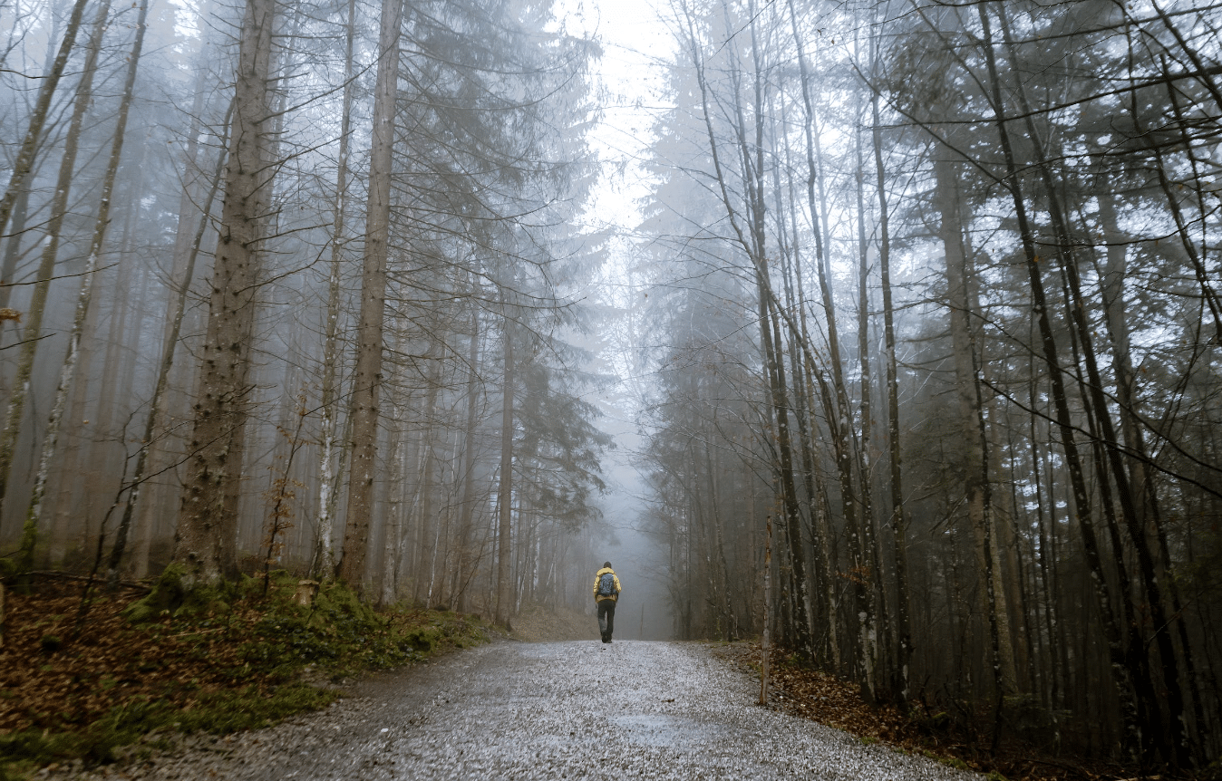 Your Journey to a Meaningful Life: A Guide to ACT for Beginners - A person walking though a misty forest cove.