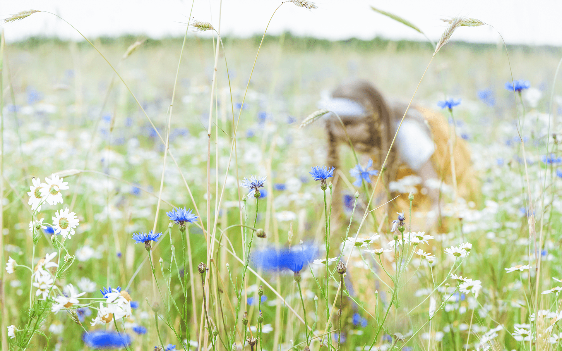 The Mindful Art of Foraging—A young girl picks flowers in a field of daisies and mountain bluet.